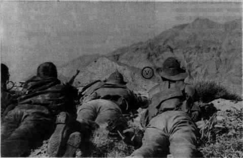 Памяти павших в
                          Афганской войне