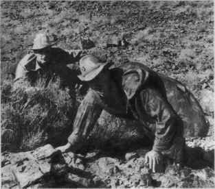 Памяти павших в
                          Афганской войне