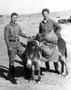 Памяти павших в
                        Афганской войне