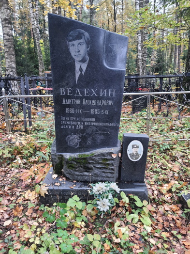 ВЕДЕХИН
                      Дмитрий Александрович